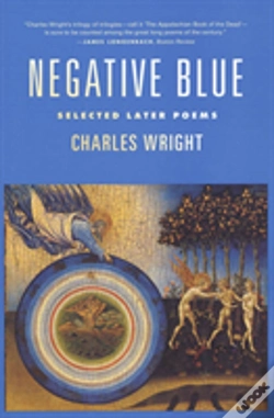 Capa do artigo Negative Blue