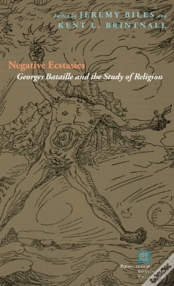 Capa do artigo Negative Ecstasies