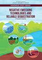 Negative Emissions Technologies And Reliable Sequestration - Preview