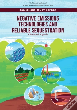 Capa do artigo Negative Emissions Technologies And Reliable Sequestration