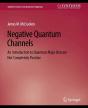 Negative Quantum Channels - Preview