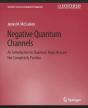Negative Quantum Channels - Preview