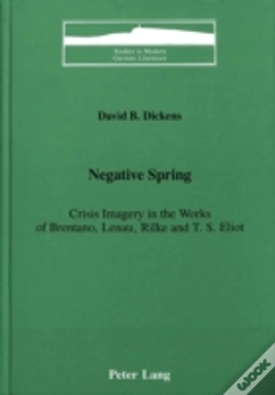Capa do artigo Negative Spring