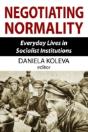 Negotiating Normality - Preview