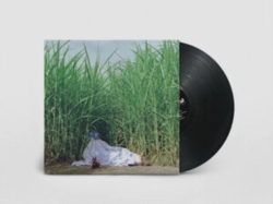 Capa do artigo Negra - Vinil