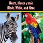 Negro, Blanco Y Mas - Preview
