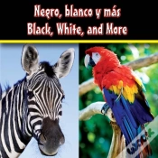 Capa do artigo Negro, Blanco Y Mas