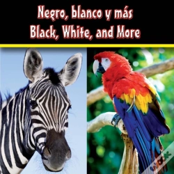 Capa do artigo Negro, Blanco Y Mas