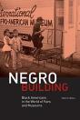Negro Building - Preview