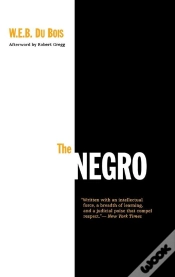 Capa do artigo Negro