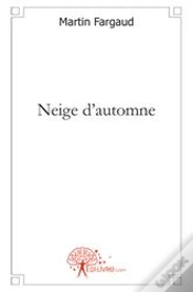 Capa do artigo Neige D
