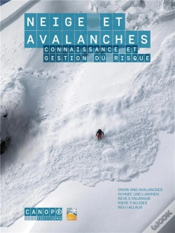 Capa do artigo Neige Et Avalanches