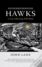 Capa do artigo Neighborhood Hawks