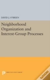 Neighborhood Organization And Interest-Group Processes