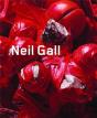Neil Gall /Anglais - Preview