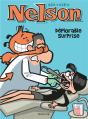 Nelson Tome 16 : Déplorable Surprise - Preview