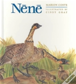 Capa do artigo Nene