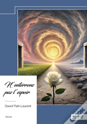 Capa do artigo N
