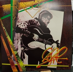 Capa do artigo Neocasal - Vinil