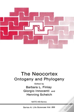 Capa do artigo Neocortex