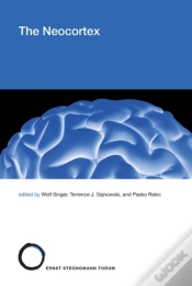 Capa do artigo Neocortex