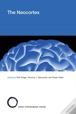 Capa do artigo Neocortex