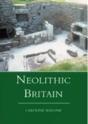 Neolithic Britain And Ireland - Preview