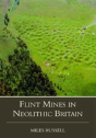 Neolithic Flint Mines In Britain - Preview