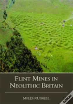 Capa do artigo Neolithic Flint Mines In Britain