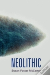 Capa do artigo Neolithic