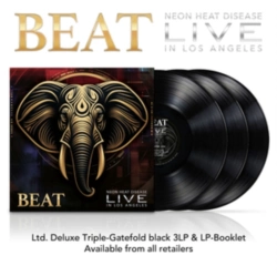 Capa do artigo Neon Heat Disease - Vinil