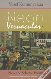 Capa do artigo Neon Vernacular