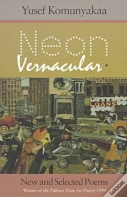 Capa do artigo Neon Vernacular