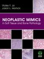 Neoplastic Mimics In Soft Tissue And Bone Pathology - Preview