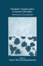 Neoplastic Transformation In Human Cell Culture - Preview