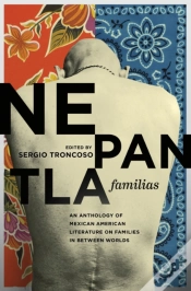 Capa do artigo Nepantla Familias
