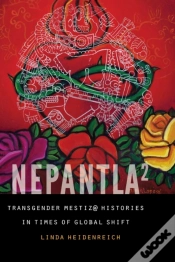 Capa do artigo Nepantla Squared