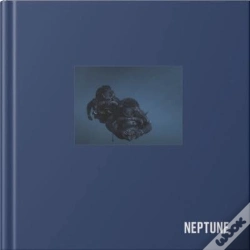 Capa do artigo Neptune