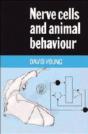 Nerve Cells And Animal Behaviour - Preview