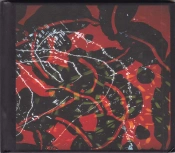 Capa do artigo Nerve Net - CD