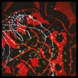 Capa do artigo Nerve Net - Vinil