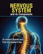 Nervous System And Its Components - Preview