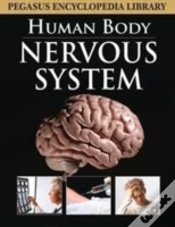 Capa do artigo Nervous System