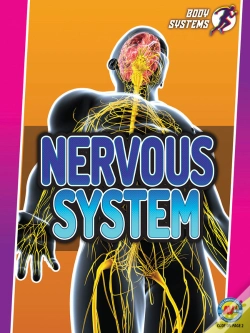 Capa do artigo Nervous System