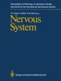 Nervous System - Preview