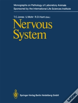 Capa do artigo Nervous System