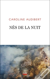 Capa do artigo Nés De La Nuit