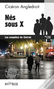 Capa do artigo Nes Sous X