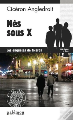 Capa do artigo Nes Sous X