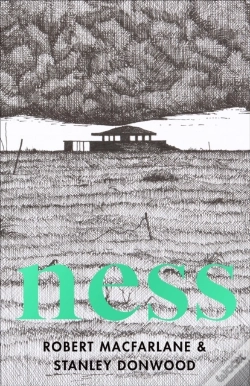 Capa do artigo Ness